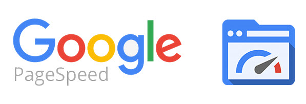 Google PageSpeed logo.